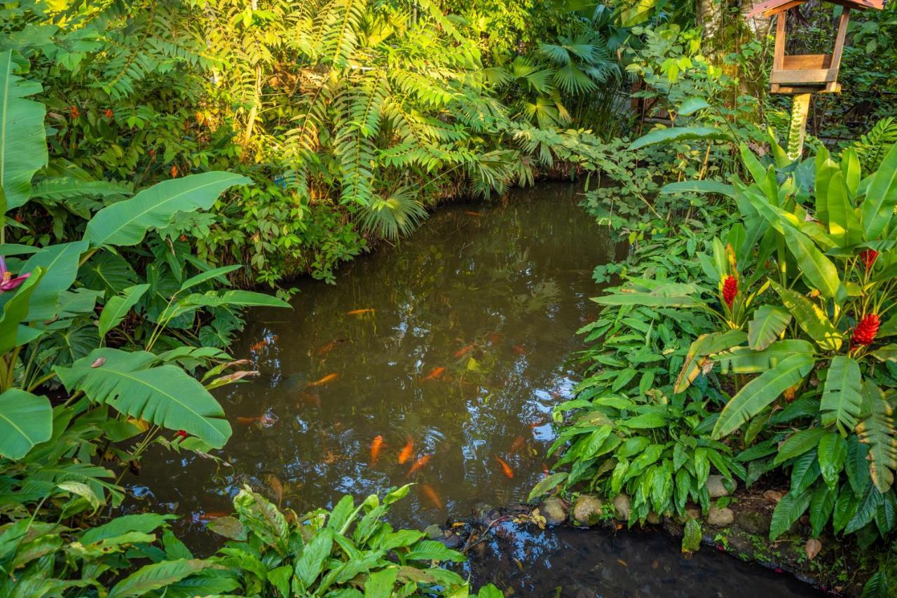El Jardin Lodge & Spa Puerto Misahuallí Εξωτερικό φωτογραφία